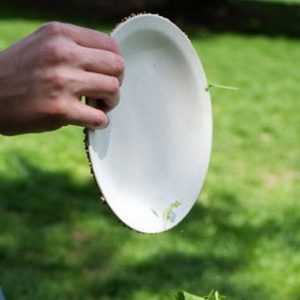 Одноразовая экологичная посуда UFO