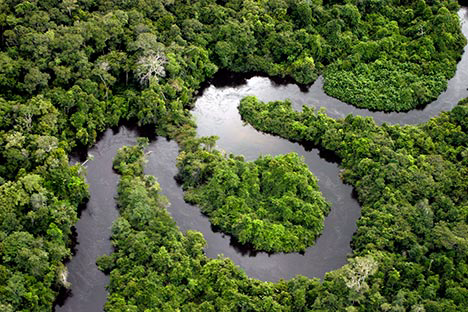 Над дождевыми лесами образуется водяной пар, который понижает атмосферное давление, привлекая тем самым еще больше влаги