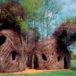 Дома-гнезда из живых деревьев Патрика Доуэрти