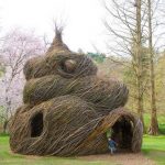 Дома-гнезда из живых деревьев Патрика Доуэрти